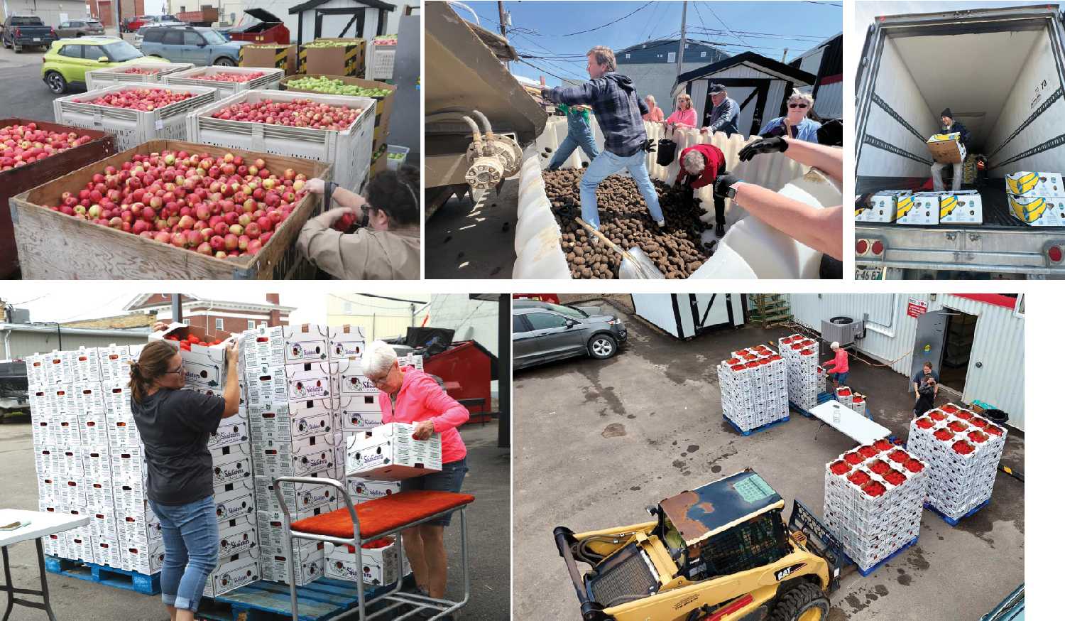 Above left: 38,000 pounds of apples outside the Moosomin Food Share. Above middle: The Food Share unloading 55,000 pounds of potatoes. Above right: The Moosomin Food Share unloading 11 pallets of bananas Bottom: 8,400 pounds of tomatoes being unloaded at the Food Share.